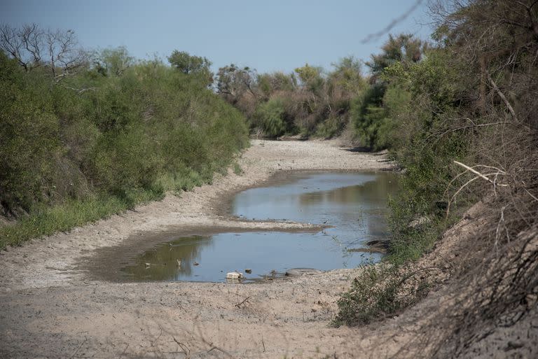 Sequía; sequía en tostado; sequía en Santa Fe; vacas muertas; animales Muertos; localidad de Pozo; pozo; Santa fe; Campo; fotos de caMPO; ECONOMÍA; COMUNIDAD DE NEGOCIOS