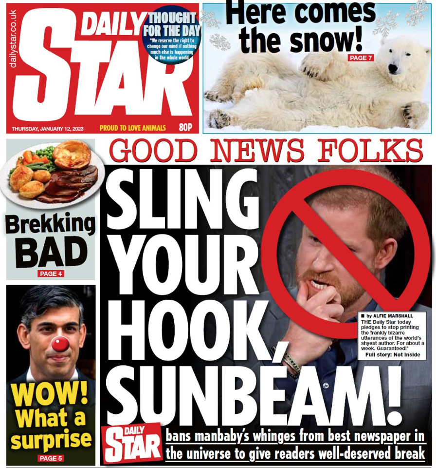 The Daily Star has promised not to write about Prince Harry for a week. (Twitter)
