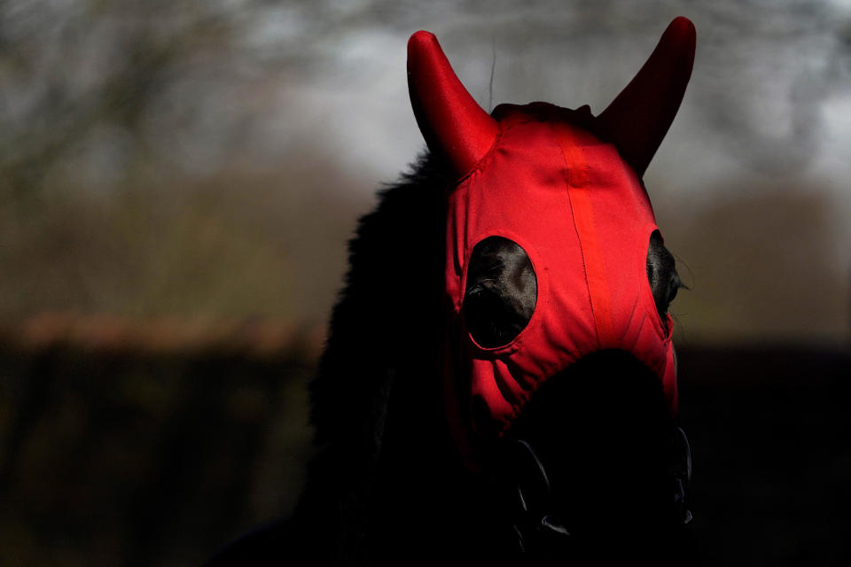 <p>Mutassabeq walks in the pre parade ring before winning the bet365 British EBF Conditions Stakes at Newmarket Racecourse. Picture date: Tuesday April 13, 2021.</p>
