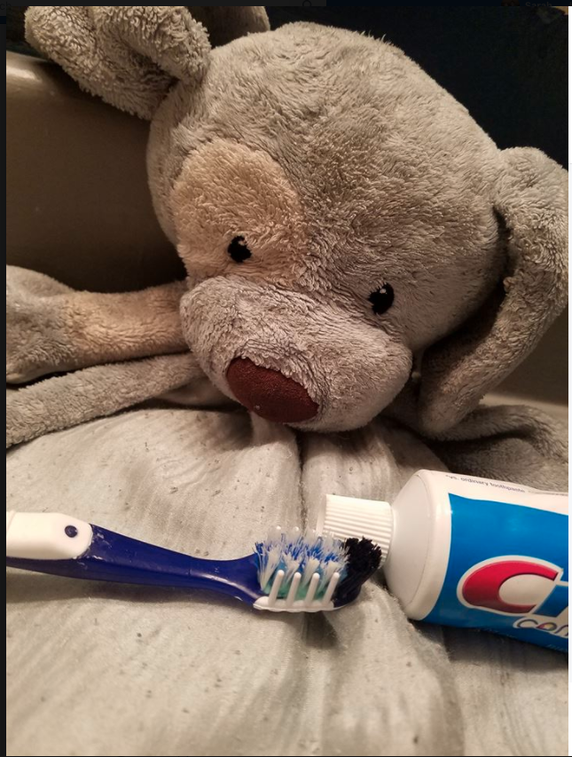 The teddy even brushes his teeth. Photo: Facebook/Katie Hoeppner