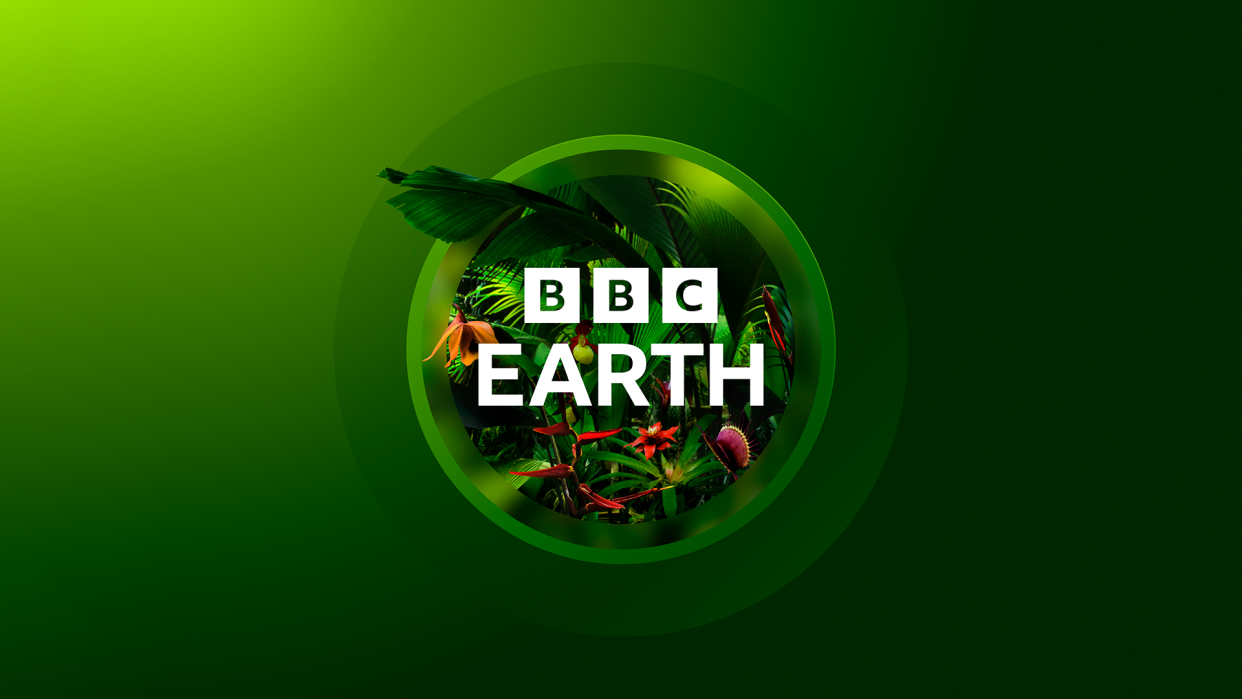  New BBC Earth logo in green, featuring jungle foliage inside of a blurred lens. 