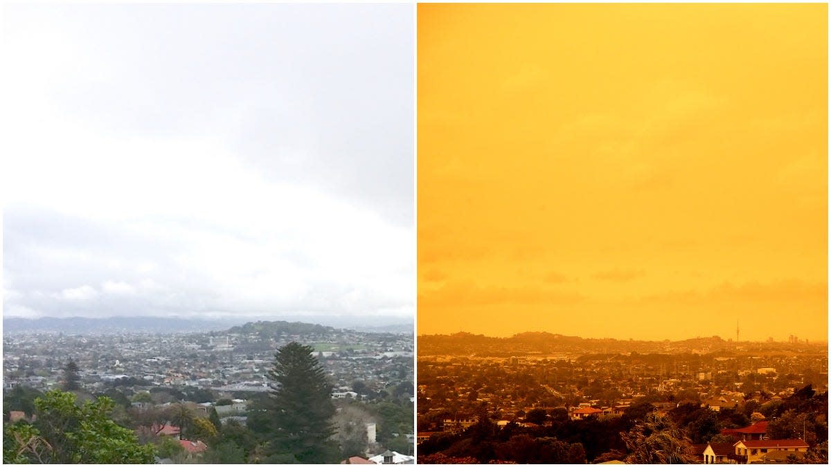 Auckland bushfire sky