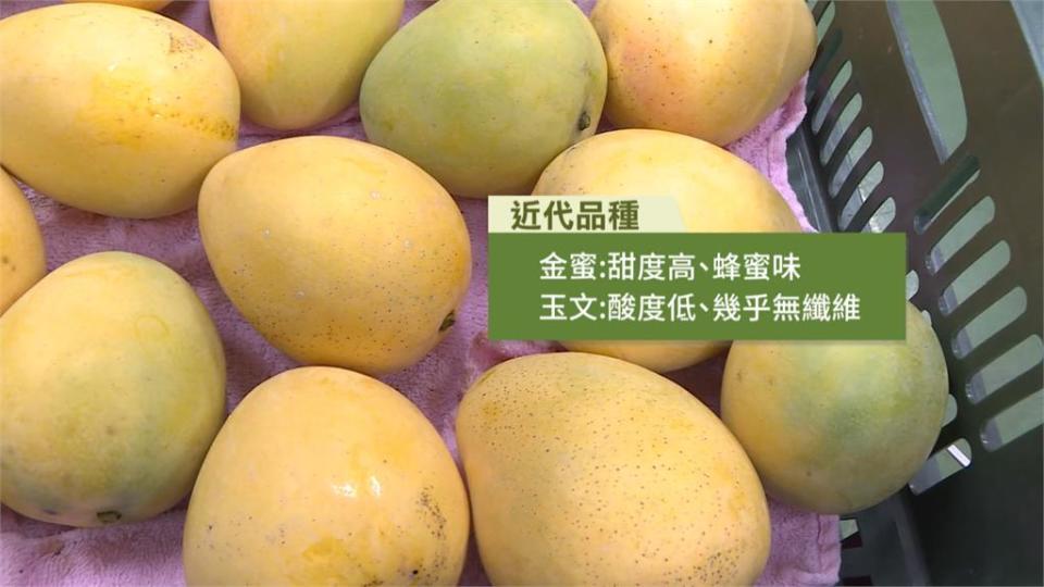 芒果季來了！　台灣「愛文」身世之謎大公開