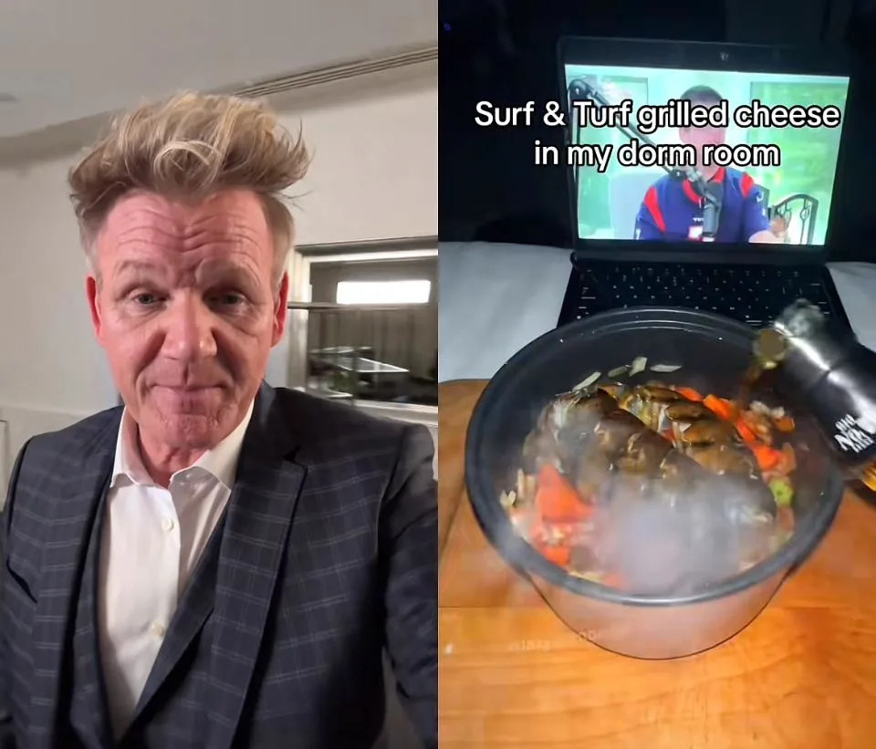 Gordan Ramsay and Lazy Pot Noodle on TikTok