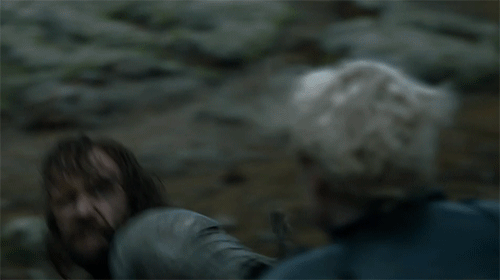 5. Brienne vs. The Hound