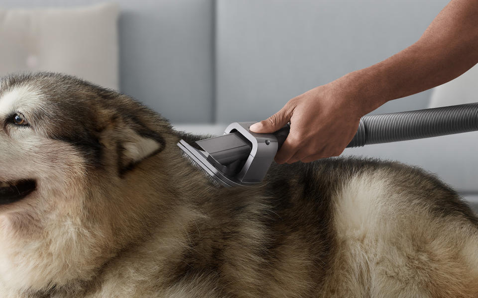 Dyson Pet groom tool