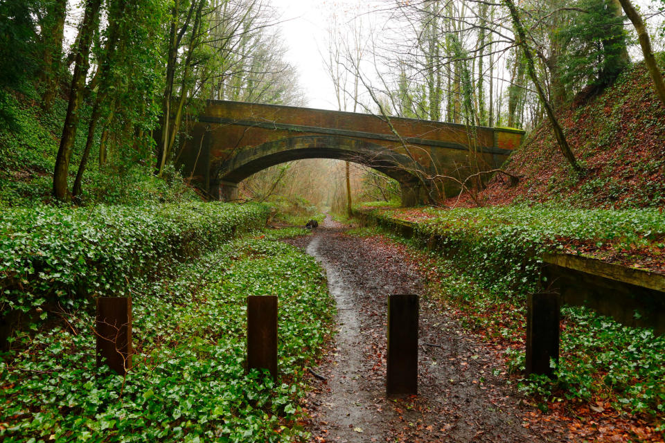 A footpath follows the former track-bed of the Meon Valley Railway (MVR) at the site of the train station at West Meon in Hampshire.A footpath follows the former track-bed of the Meon Valley Railway (MVR) at the site of the train station at West Meon in Hampshire.