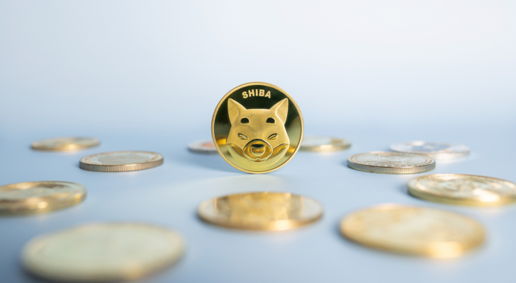 Shiba Inu (SHIB-USD) or Shib coin standing centrally placed among bunch of crypto coins on blue background. Close-up, soft focus. Banner with golden Shiba token.