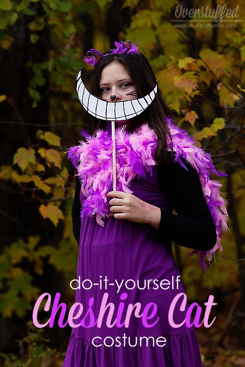 Easy Cheshire Cat Costume