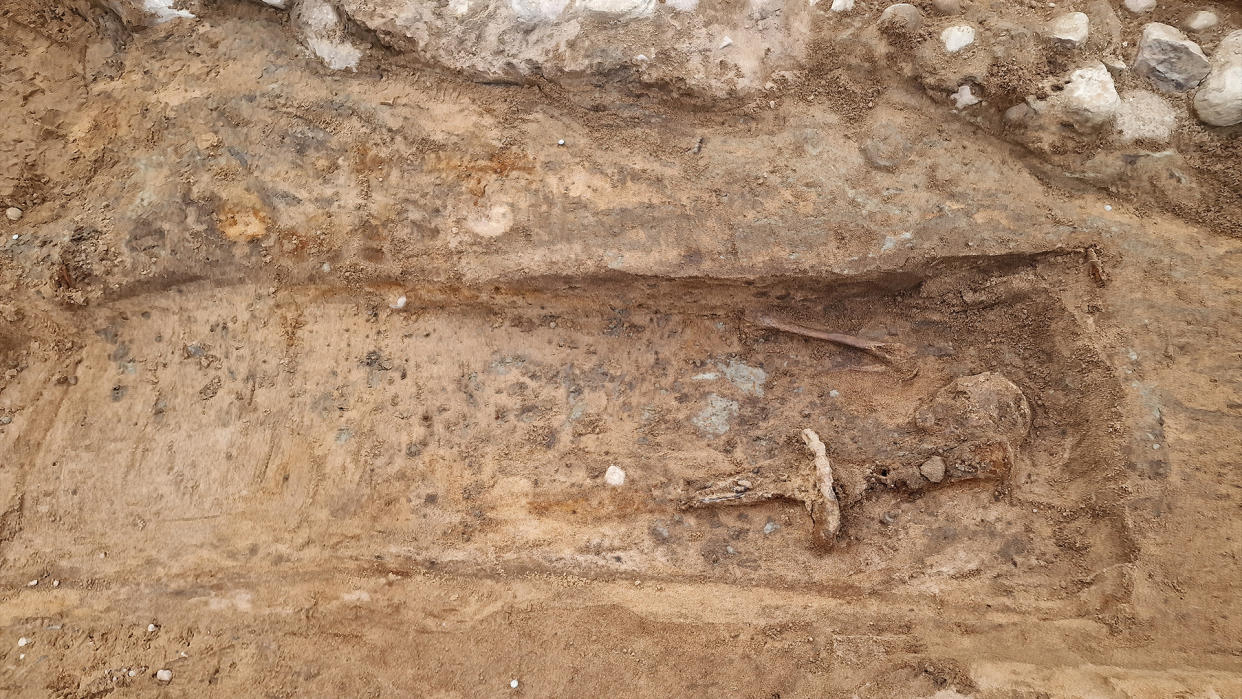  A sword in an excavated grave in Sweden. 