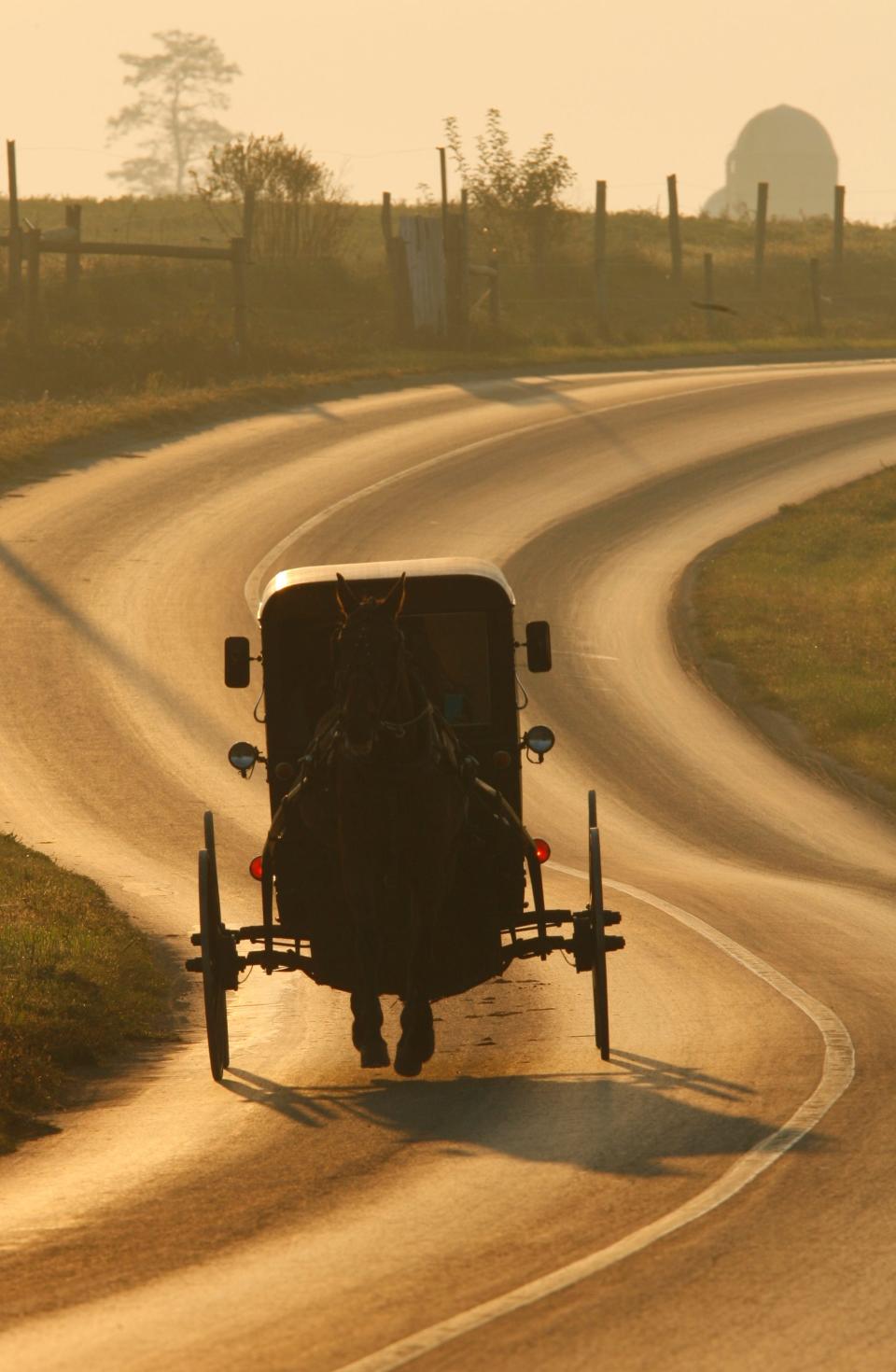 There are many experiences to be had in Amish Country, located in Lancaster, Pennsylvania. Families can take part in tours, museums and even buggy rides.