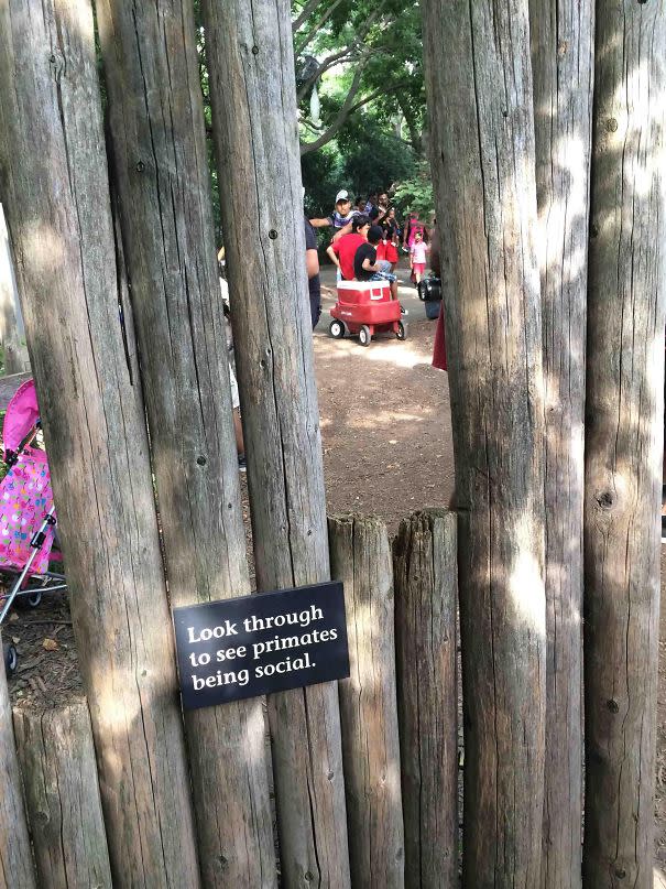 <p>Auf dem kleinen Schild steht, was hier zu sehen ist: „Schauen Sie hier hindurch, um die Primaten bei ihrem Sozialverhalten zu sehen.“ (Bild: reddit / Thehype105) </p>