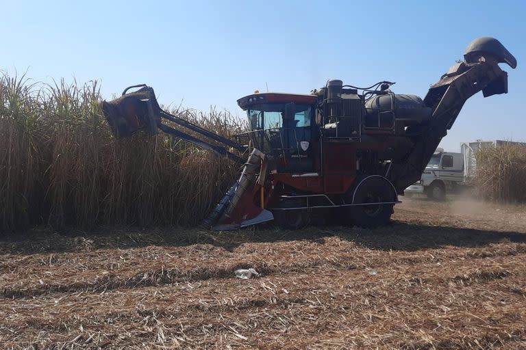 Destacaron que, a pesar de las pocas lluvias durante la primavera y el verano, las inversiones en la tecnificación del sistema de riego amortiguaron en parte el efecto de la sequía