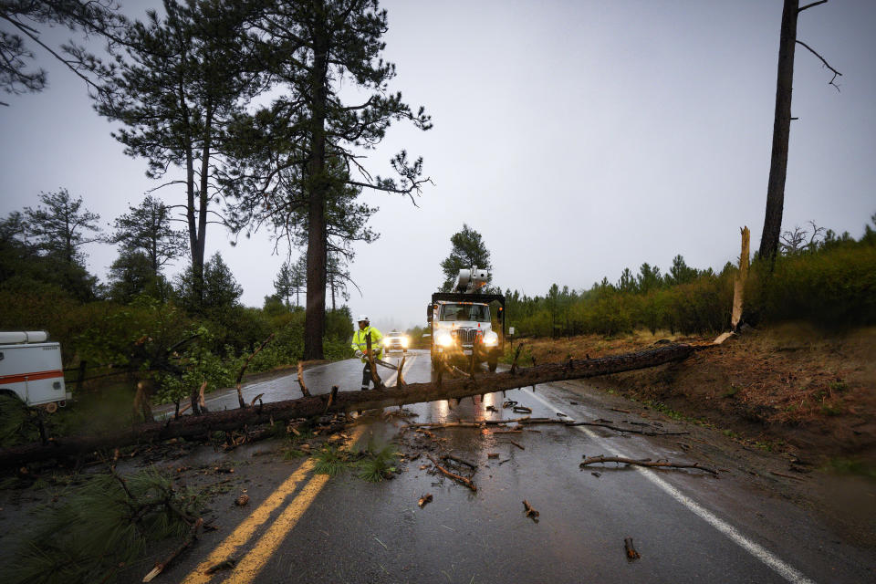 Caltrans workers remove a fallen tree blocking transit on SR-79 between Paso Picacho Campground and Lake Cuyamaca on Friday, Sept. 9, 2022 in San Diego, Calif. A surge of clouds and showers associated with Tropical Storm Kay off Mexico's Baja California peninsula knocked the edge off temperatures in Southern California at times but also were a potential problem for solar generation. The storm was downgraded from a hurricane Thursday evening. (Nelvin C. Cepeda/The San Diego Union-Tribune via AP)