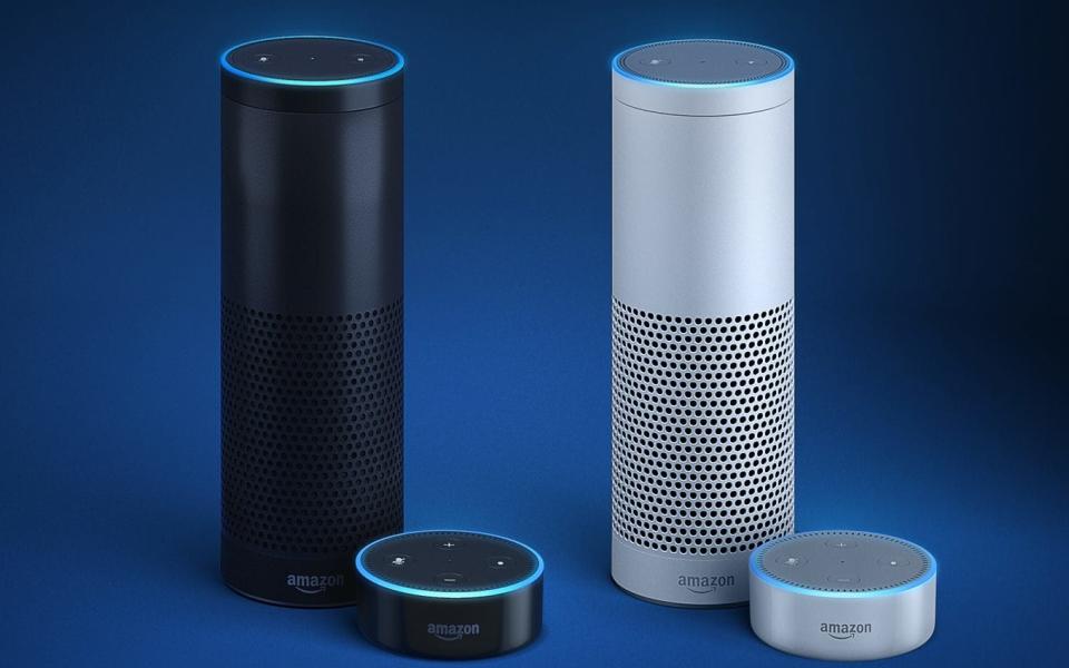 The flaw allows criminals to use a modified version of the smart speaker to hack into other Amazon Echo devices - Pls credit Amazon