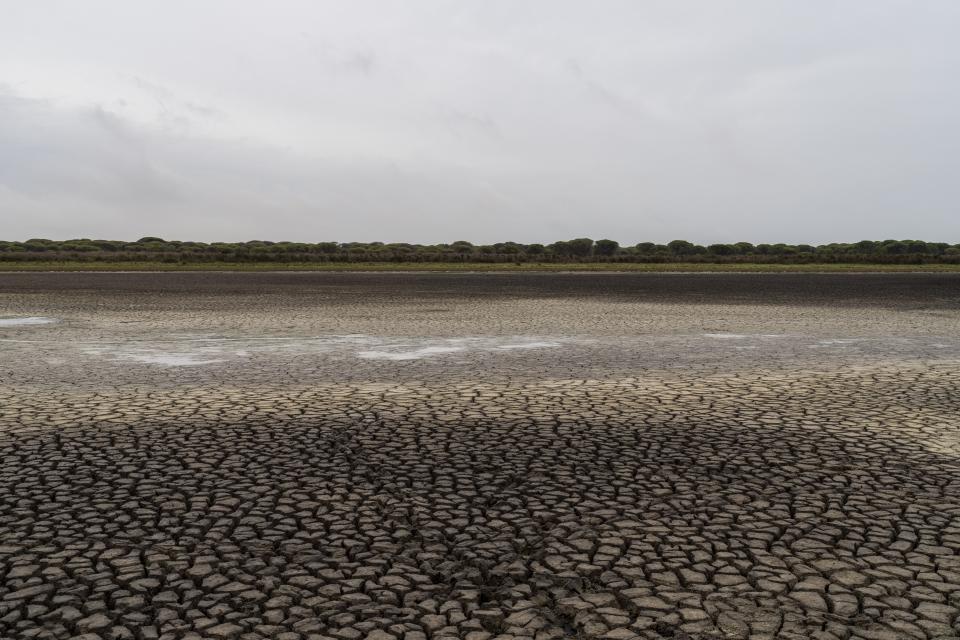 FILE - Cracks in the mud are seen in a dry wetland in Doñana natural park, southwest Spain, Wednesday, Oct. 19, 2022. The government of Spain’s southern Andalusia region plans to expand a prized national park that is home to one of Europe’s largest wetlands that is danger of drying up. (AP Photo/Bernat Armangue, File)