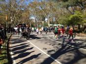 Runners in Central Park.