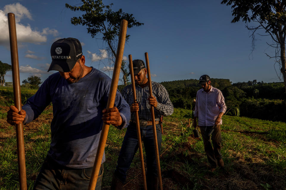 Workers plant tree seedlings to restore the soil at Preta Terra’s Timburi agroforestry project.<span class="copyright">Victor Moriyama for TIME</span>