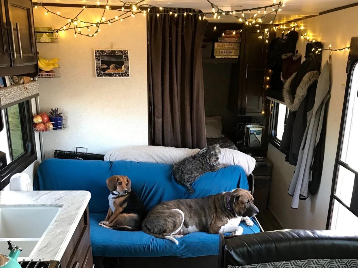 Leah Borski's dogs in her RV