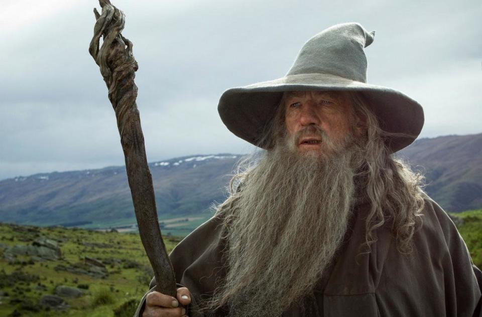 The iconic wizard from the 'Lord of The Rings' series. <a href="https://amzn.to/37xndnB" target="_blank" rel="noopener noreferrer">Get the look</a>.
