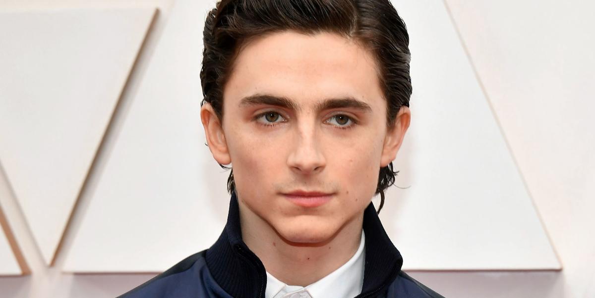 Timothée Chalamet's Brand New 2020 Oscars Hair Deserves An Awards Category  All To Itself