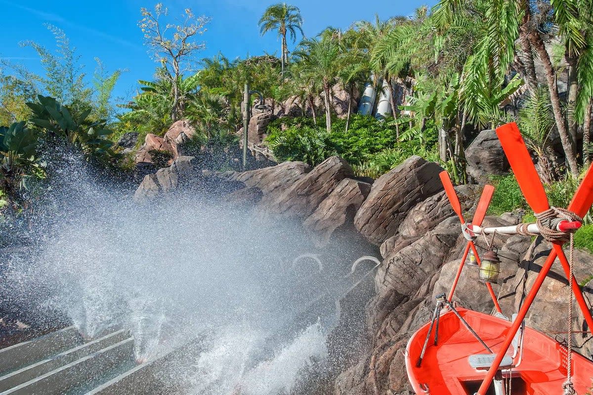 Walt Disney Parks has been sued by a woman who alleges she lost consciousness and suffered a brain injury after riding a slide at Typhoon lagoon (Disney)