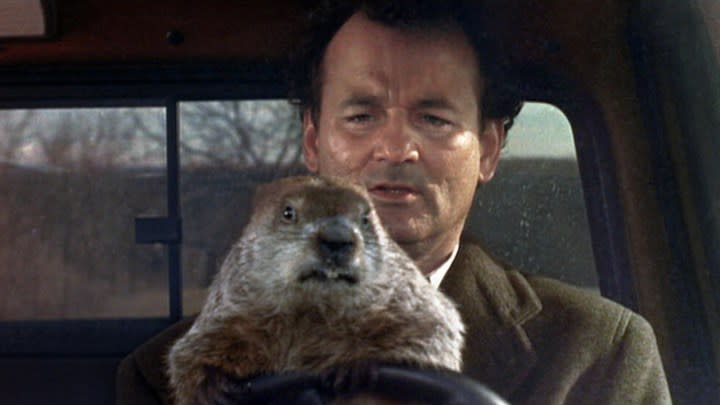 Bill Murray in the driver's seat of a car with a groundhog on the wheel in "Groundhog Day."