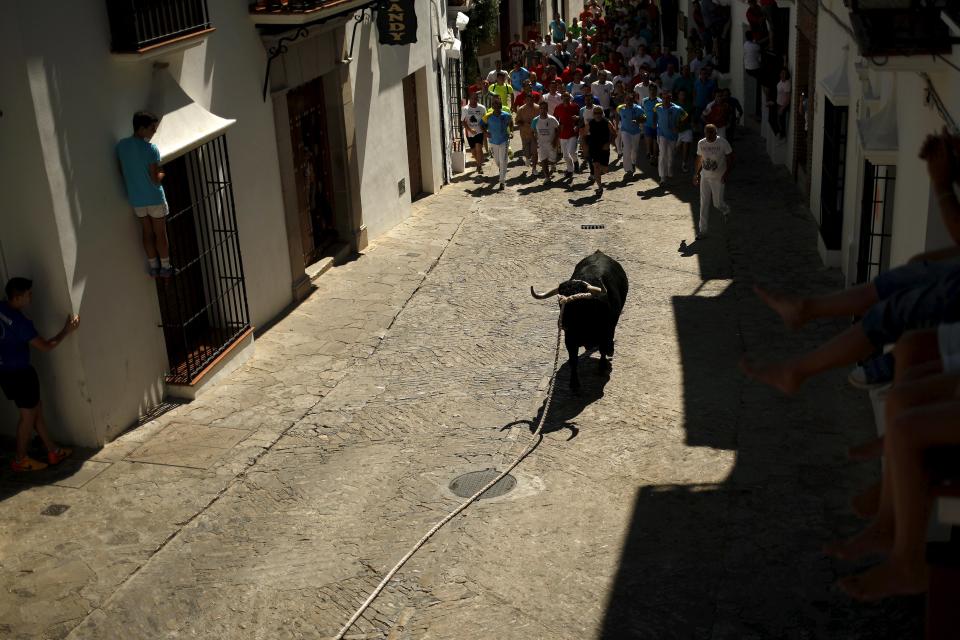 Un toro recorre una calle de Grazalema