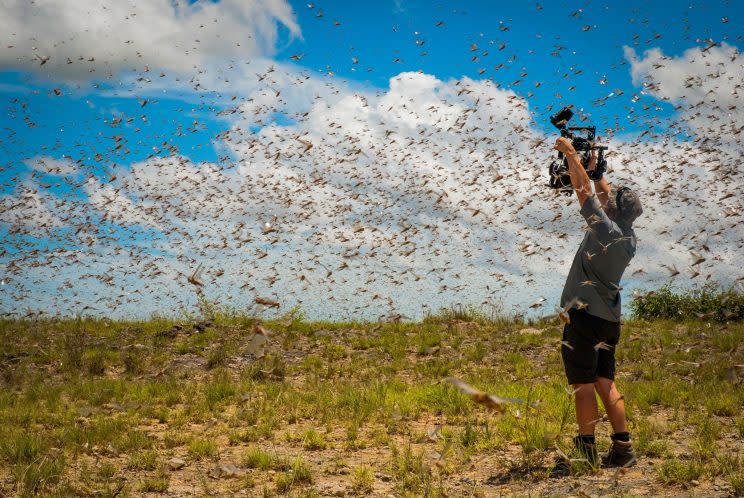 Cameraman Rob Drewett puts himself inside a super swarm of a billion flying locusts in Madagascar (Credit: Ed Charles)