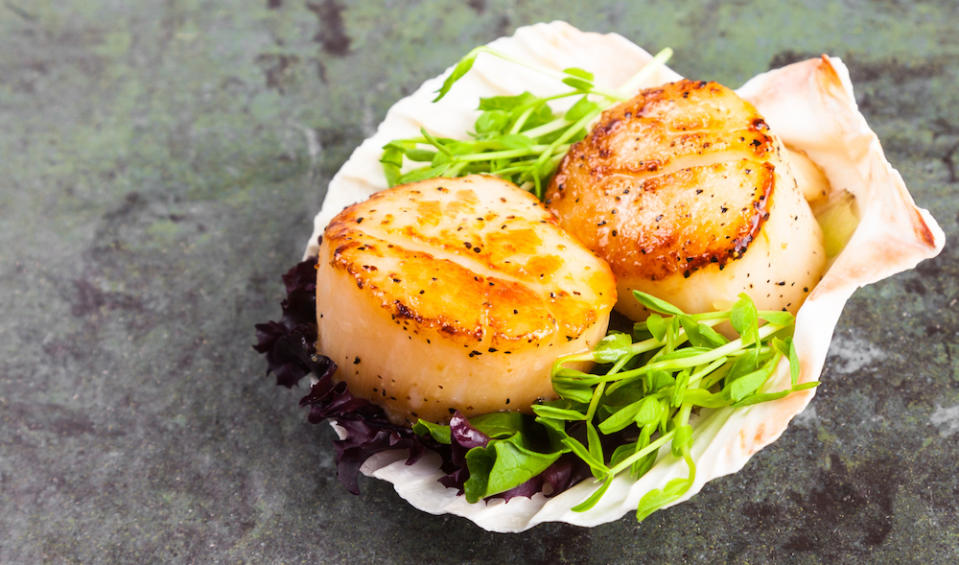 Scallops