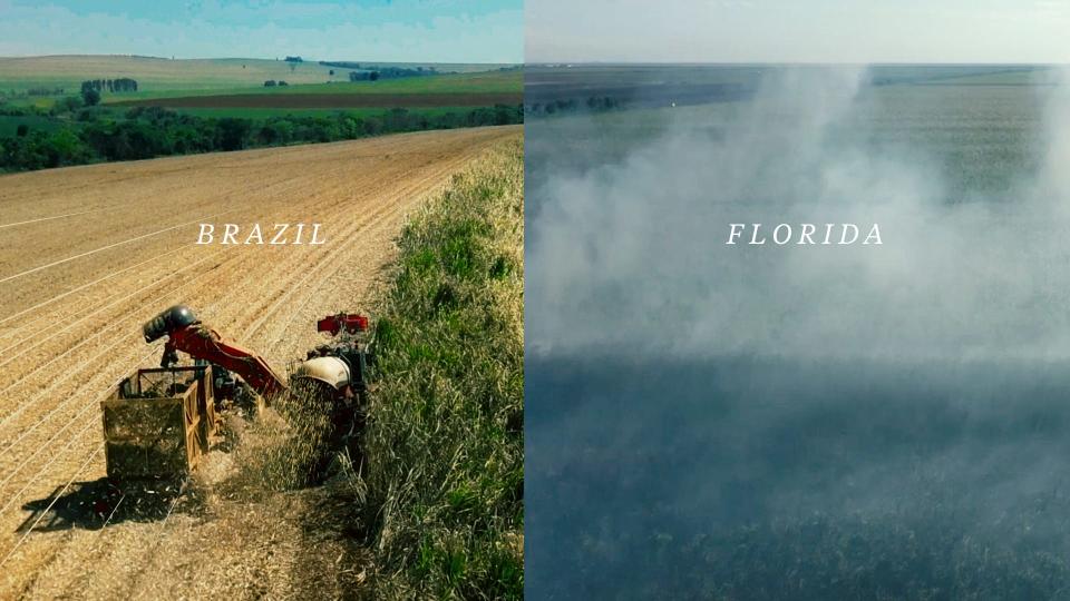 Brazil is no longer burning sugar cane in the fields. Sugar companies in the Glades region around Lake Okeechobee in Florida are. Photos by NADIA SUSSMAN/ProPublica and GREG LOVETT/The Palm Beach Post