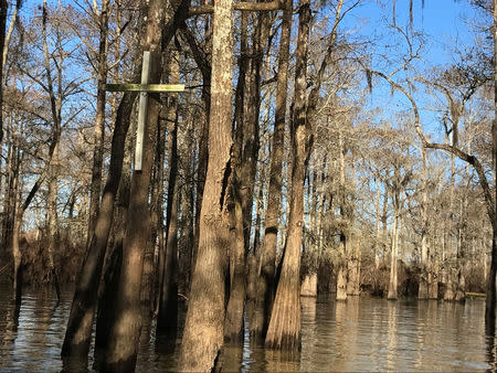 Atchafalaya Basin, home to many pipelines, is seen in the western part of the of southern Louisiana, U.S. January 31, 2017. Picture taken January 31, 2017. REUTERS/Liz Hampton