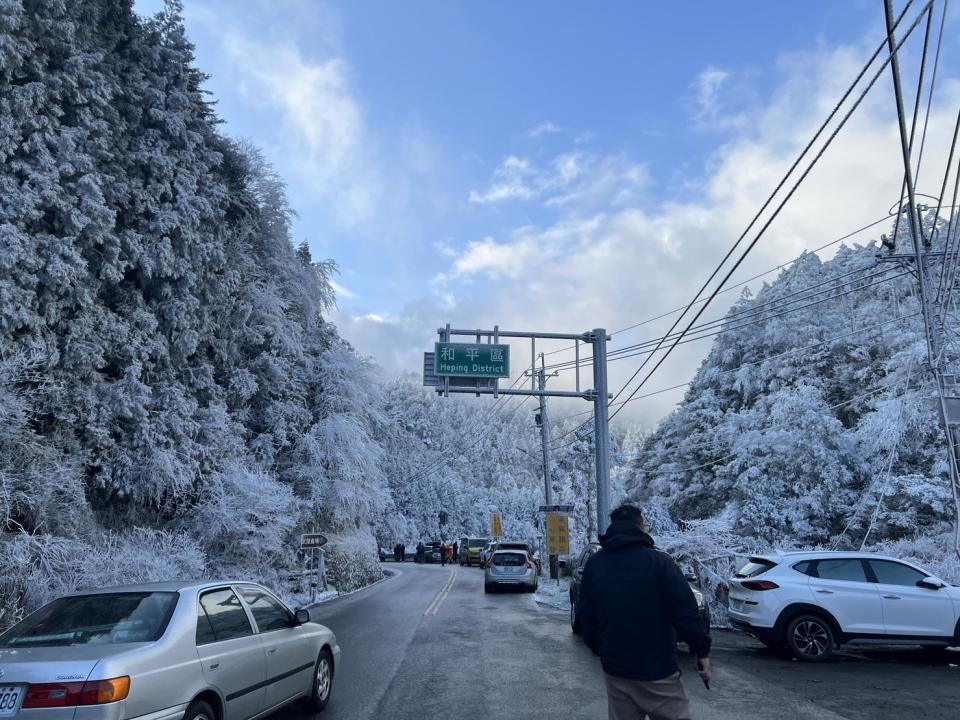 太平山國家森林遊樂區未如預期下雪，呈現冰霜及霧淞美景，吸引大批遊客上山賞景。（林坤瑋翻攝）