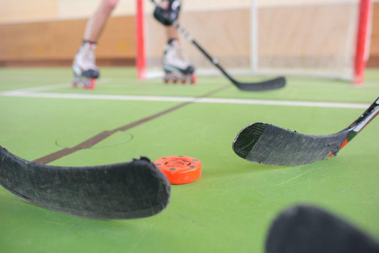 Appeal court judges have sided with a B.C. woman who was awarded just over $1 million after she was hit by a roller hockey puck while watching a game at an arena in Langford. (Phovoir/Shutterstock - image credit)