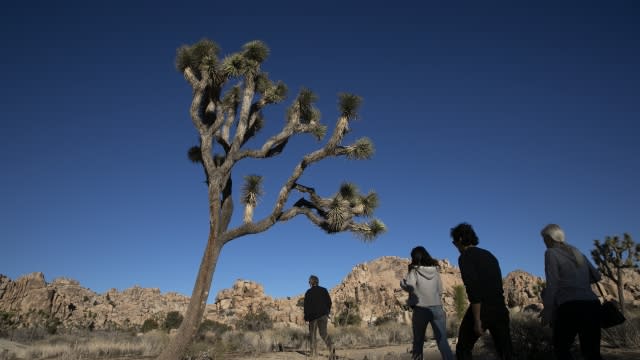 People visit Joshua Tree National Park in Southern California's Mojave Desert