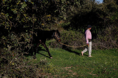 Fernando Noailles, emotional therapist, walks with his horse named Madrid in Guadalix de la Sierra, outside Madrid, Spain, April 27, 2018. Noailles uses his animals to help people suffering from stress and anxiety. REUTERS/Juan Medina