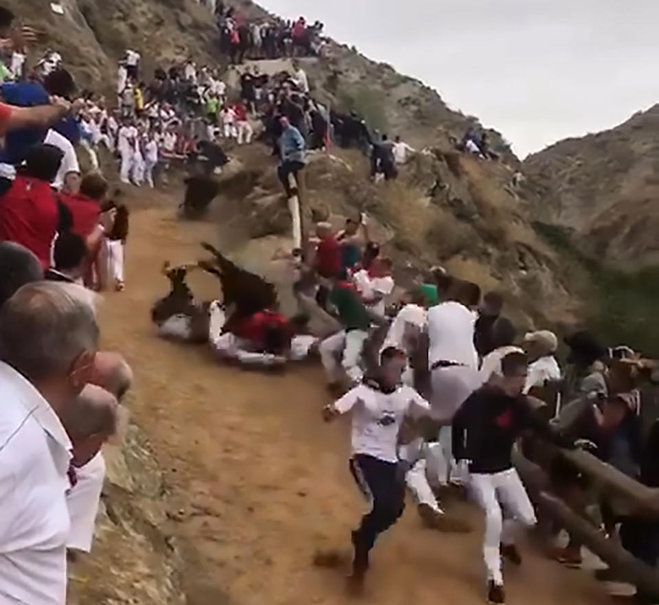 Several young men were injured during a bull-running festival when one of the animals fell over and crushed them. Source: CEN/Australscope