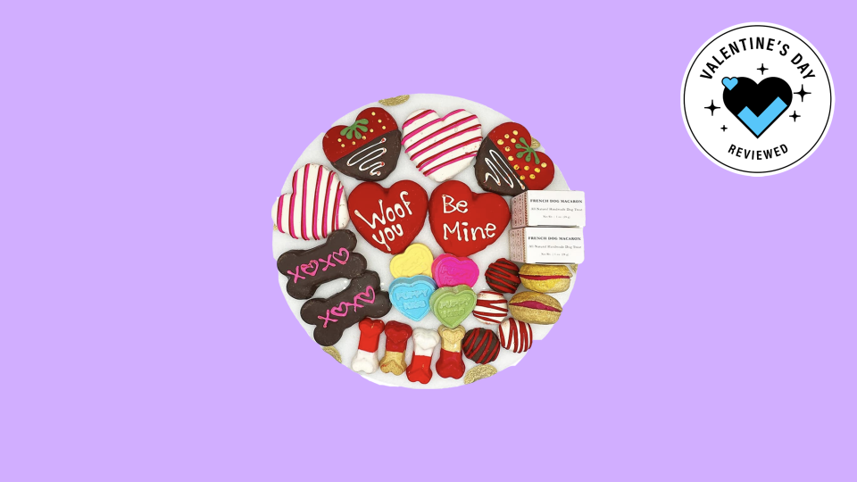 Best gifts to give your pet for Valentine's Day: Gourmet treats