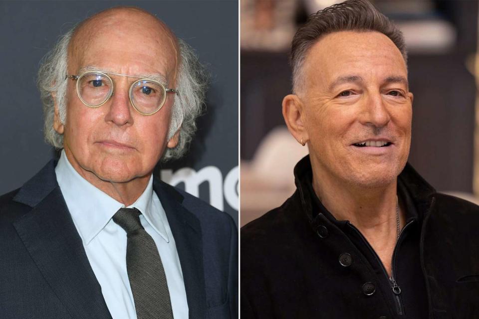 <p>Steve Granitz/FilmMagic; John Johnson/HBO</p> Larry David, Bruce Springsteen