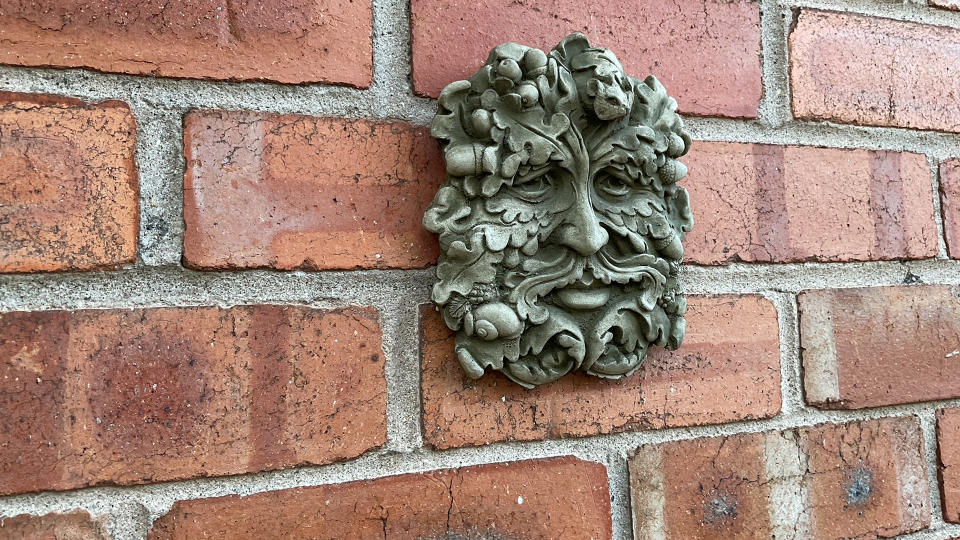 A photo of a Greenman taken on the iPad 10.