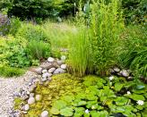 <p> Looking for wildlife pond edging ideas? River rocks are a great solution. </p> <p> Positioned around the edge, they can provide an easy way for small creatures to safely get in and out of the water. And they&apos;re not just useful for putting around the perimeter &#x2013; larger pebbles can be placed in the water itself, too. They&apos;ll provide a surface for insects such as butterflies and dragonflies to bask in the sun&apos;s rays, as well as create sheltered, underwater hiding spaces for smaller animals such as newts and frogs. </p>