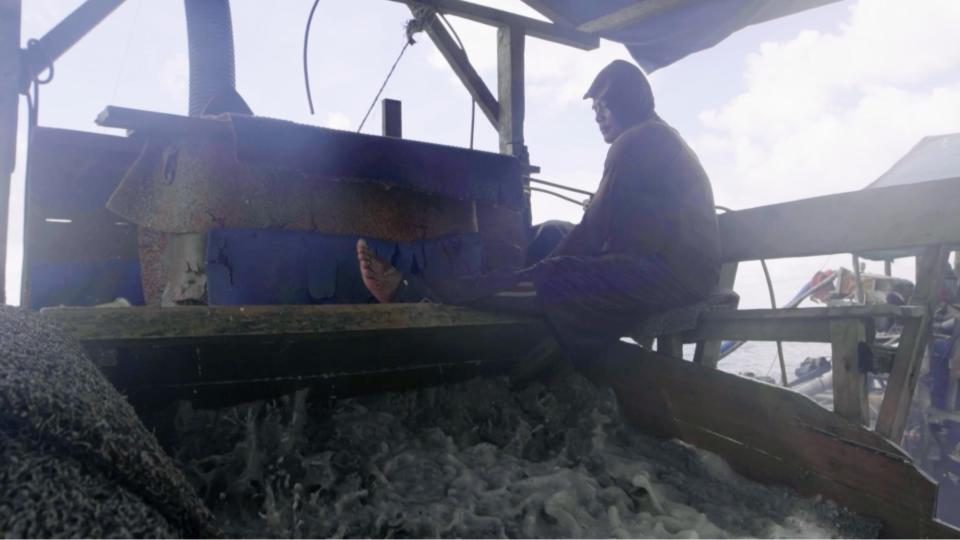 A crew member oversees the water running on to the boat.