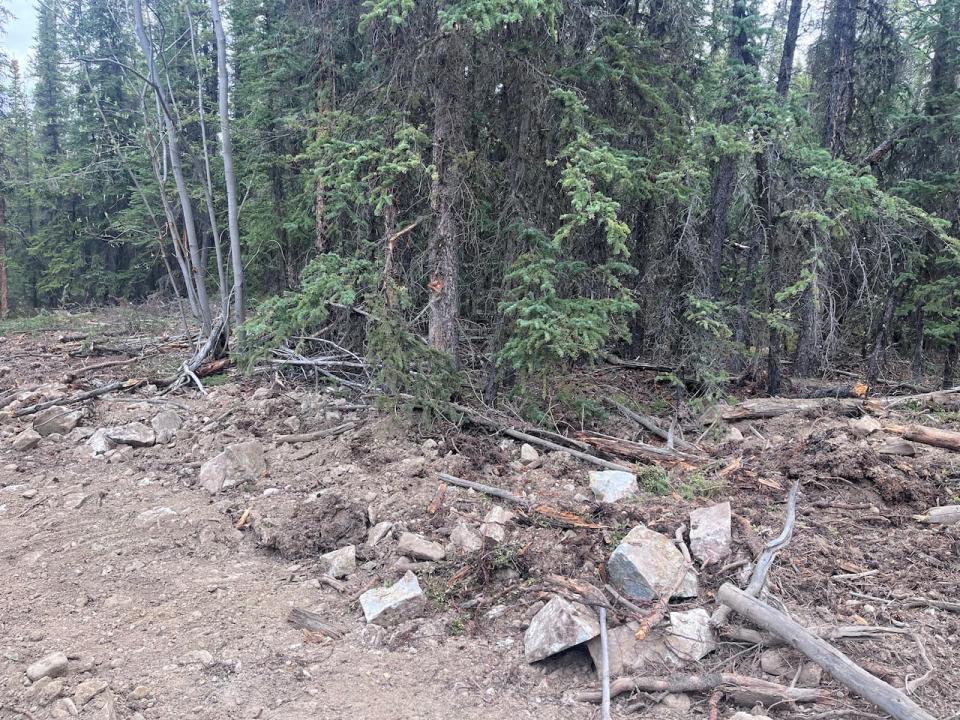 Some of the effects of Gladiator Metals' drilling along trails near Cowley Creek. The company has admitted to making large clearings and upgrading roads and trails without authorization. The company may have also disturbed archeological artifacts in the area.  (Leslie Amminson/CBC - image credit)