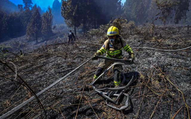 Out of the Ashes: Casa Colombia rebuilds after fire - Food - The