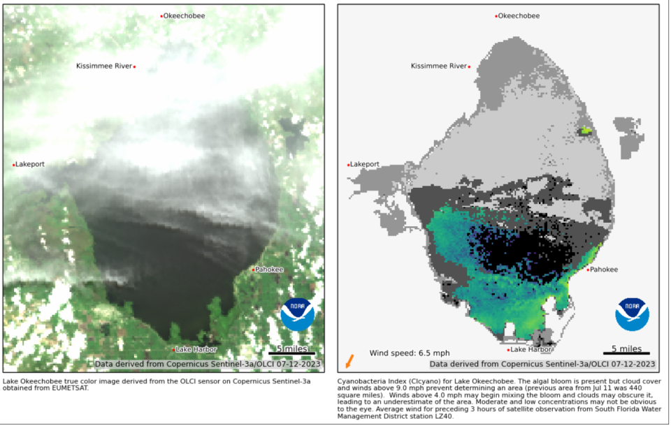 The image on the left is from a satellite, and cloud coverage is blocking much of Lake Okeechobee's surface. The graphic on the right shows the estimated amount of blue-green algae coverage.