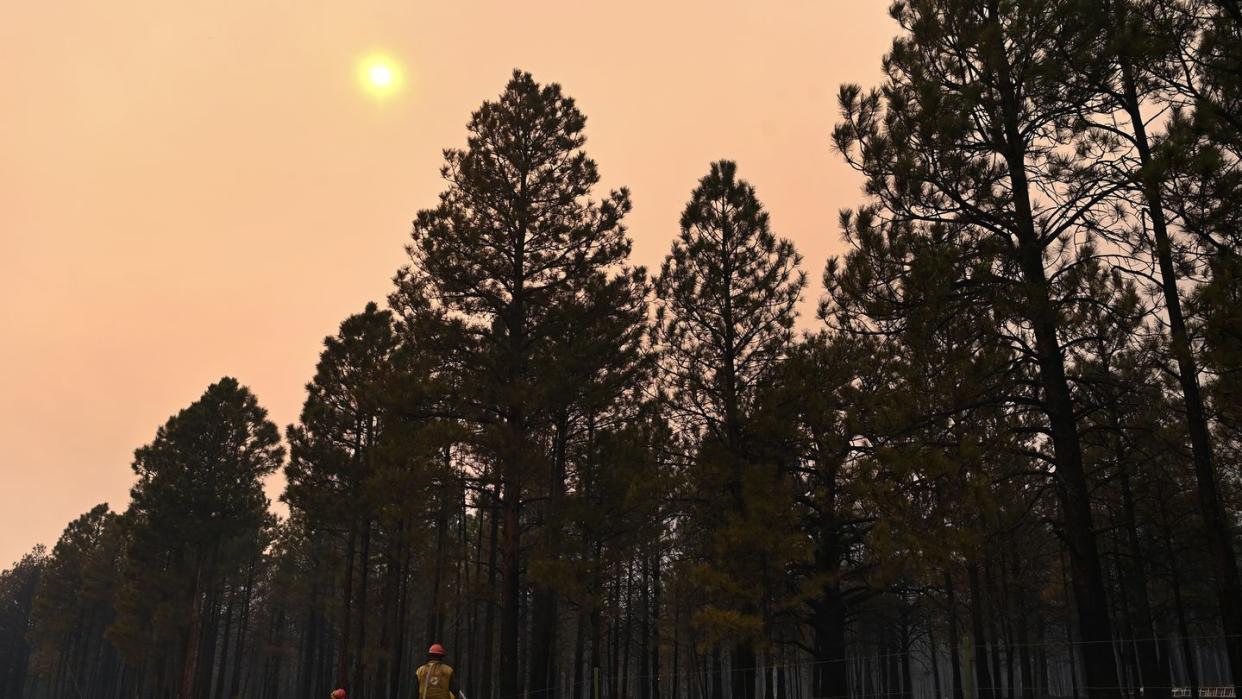 mora, nm may 13 firefighters work on putting out hotspots from a wildfire on friday may 13, 2022 in mora, nm the calf canyon and hermits peak fires have been burning in the region the hermits peak fire started as a prescribed burn photo by matt mcclainthe washington post via getty images