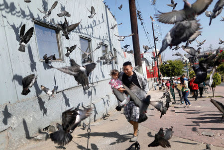 A man and his daughter, members of a migrant caravan from Central America, run between pigeons at the end of their journey through Mexico, prior to preparations for an asylum request in the U.S., in Tijuana, Baja California state, Mexico April 28, 2018. REUTERS/Edgard Garrido