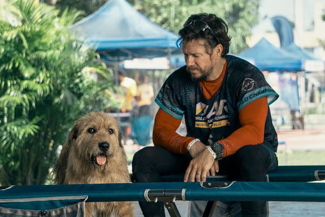 <p>Carlos Rodriguez/Courtesy of Lionsgate</p> Mark Wahlberg and his canine costar Ukai in 'Arthur the King'