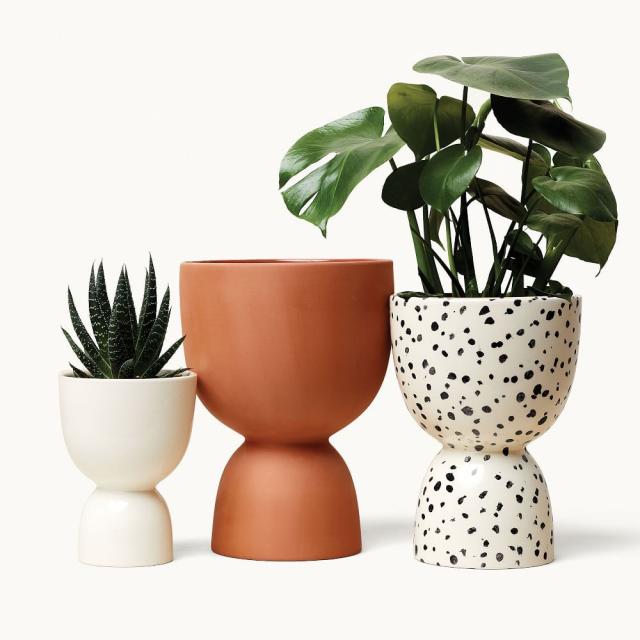 Styling Plants – with Terra Cotta Pots – Green Girl Daily