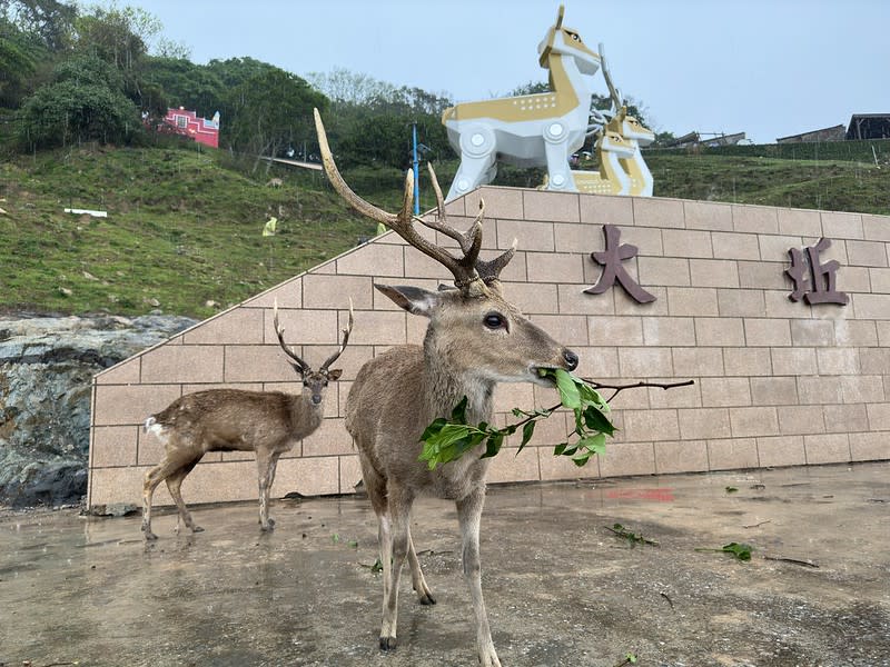 馬祖｜大坵島